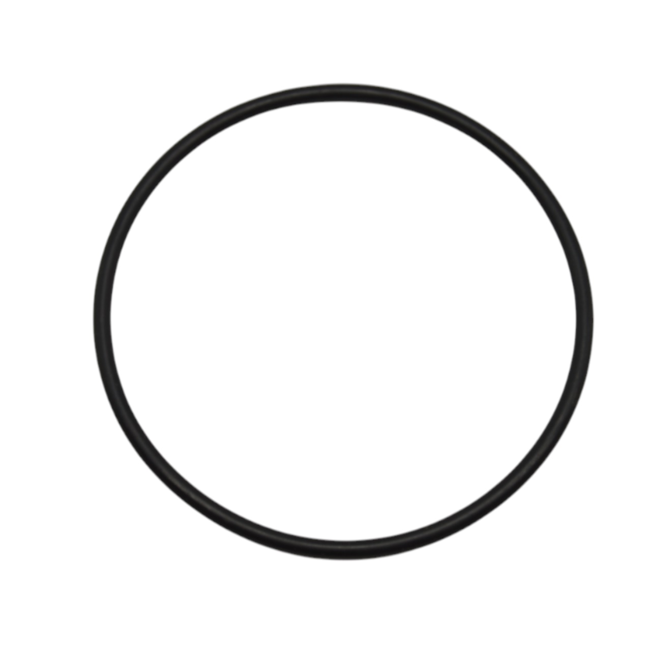 Gummiring Hinterachse, Dichtring Radlager hinten, Fiat 1500