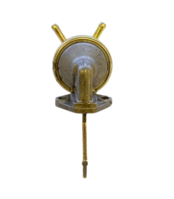 Benzinpumpe Fiat Ritmo 105 TC