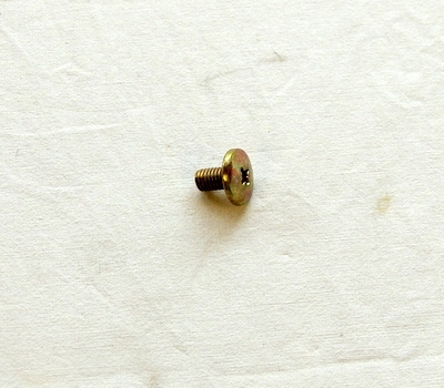 Schraube für Fensterführung Fiat 500, Fiat 600, Fiat 850