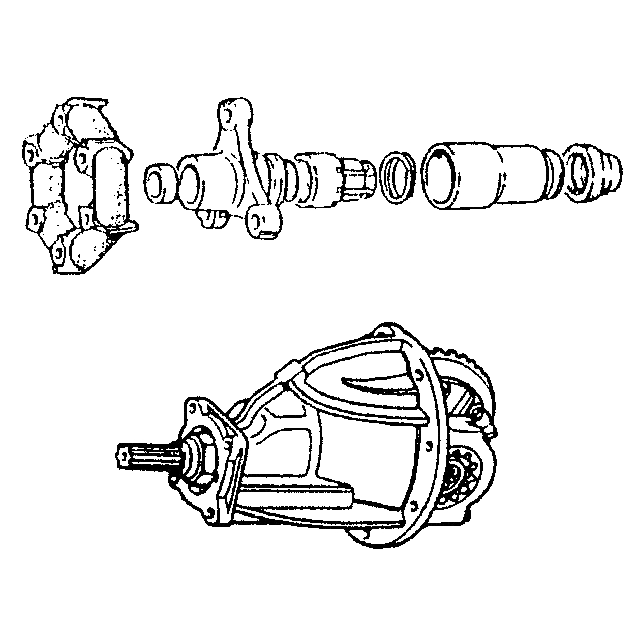 Kardanwelle / Differential